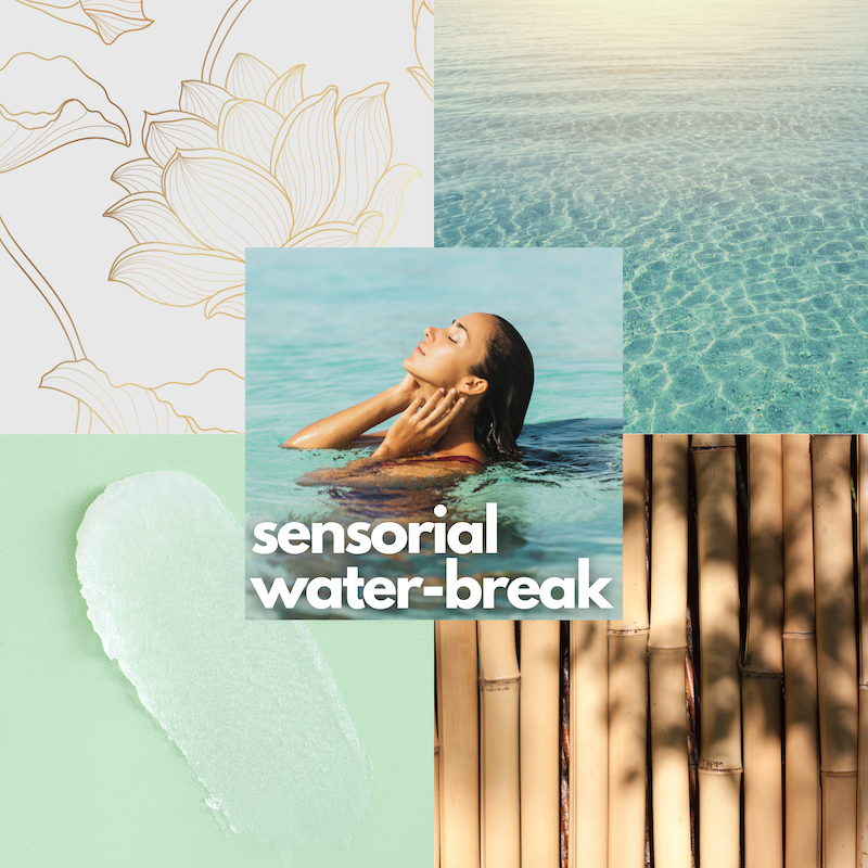 Water Melt SPF 50 Sunscreen Stick